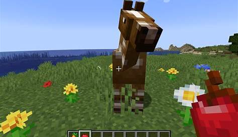 How To Feed A Horse Minecraft