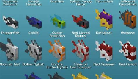 How To Find Tropical Fish In Minecraft