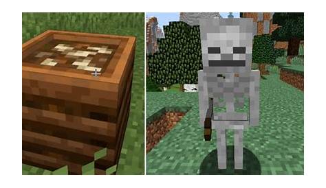How To Get A Bone In Minecraft
