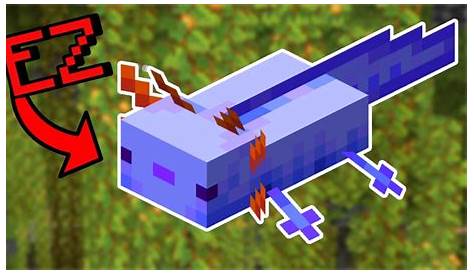 How To Get Axolotl In Minecraft