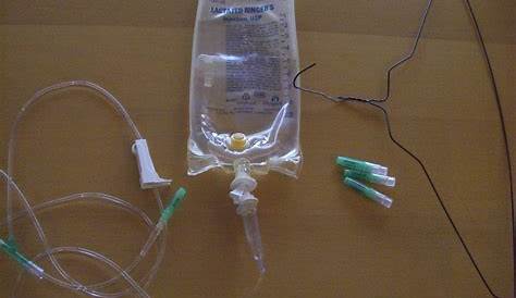 How To Give Cat Iv Fluids At Home Ging Your Subcutaneous With