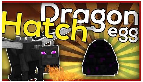 How To Hatch Dragon Eggs Minecraft