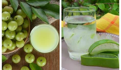 How To Make Fresh Amla Juice At Home And Aloe Vera Food