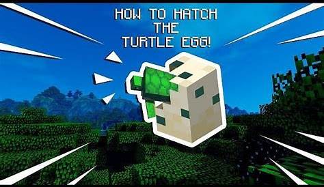 How To Make Sea Turtle Eggs Hatch In Minecraft