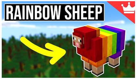 How To Make Sheep Rainbow In Minecraft