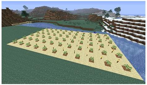 How To Make Tree Farm In Minecraft