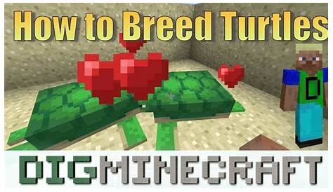 How To Make Turtles Mate In Minecraft