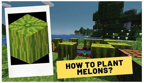 How to grow melons in minecraft YouTube