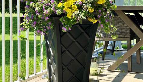 How To Plant Tall Outdoor Planters