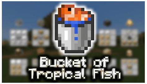 How To Put A Fish In A Bucket In Minecraft