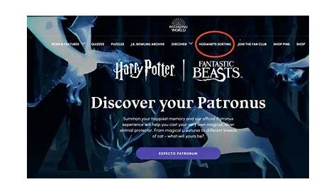 How To Retake Pottermore Sorting Hat Quiz Stepbystep Guide