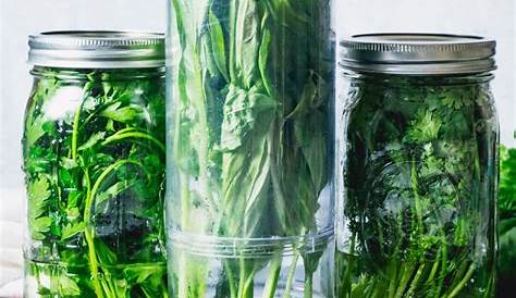 How To Store Fresh Herbs At Home We Tried 5 Methods For