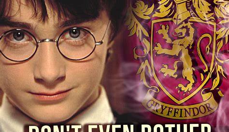 Quiz Which Hogwarts Club Would You Belong To? Harry potter