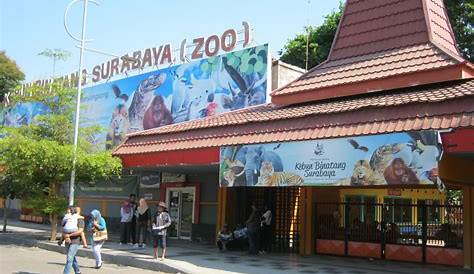 Pemandangan Kebun Binatang Surabaya + Spot Foto