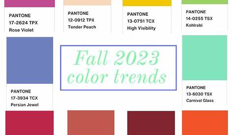 Pantone Fall 2024 Color Trends: The Ultimate Guide To Interior Design