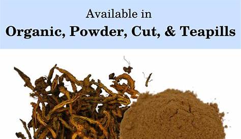 Huang Lian Herb | Coptis Root | Plum Dragon Herbs