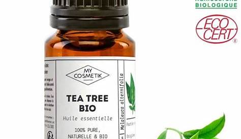 Huile Essentielle Tea Tree Bio Vertus De Desinfectante Et Anti Bacterienne