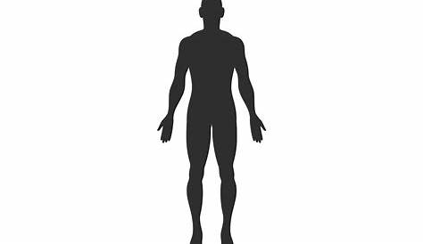 Anatomy, human body, man, patient, user icon - Download on Iconfinder