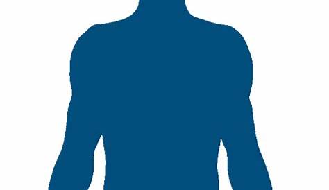 Human Body Png - PNG Image Collection
