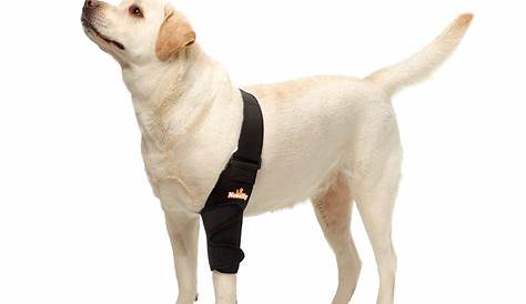 Hygroma Dog Elbow Pads Breathable Brace Protector For Canine