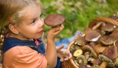 Da che età i bambini possono mangiare i funghi?