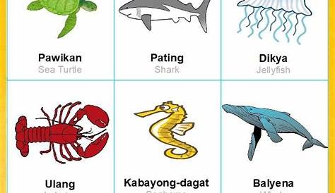 Tagalog lessons: Ocean animals and fish | Tagalog words, Filipino words