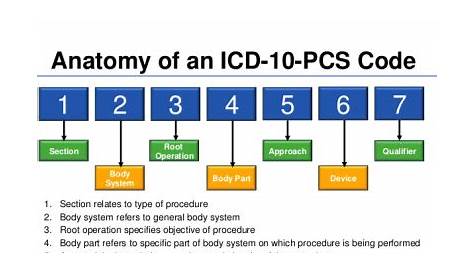 MEDICAL CODING ICD-10-CM GUIDELINES LESSON - 1.A - Coder explanation