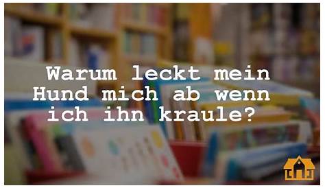 Warum ich meinen Hund Liebe? | Ich liebe hunde, Hunde, Hund zitat