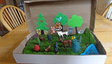 Forest Diorama Craft Project | Escolares, Maquetas y Geografía