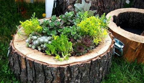15 DIY Wood Log Ideas for your Garden Decor 1001 Gardens