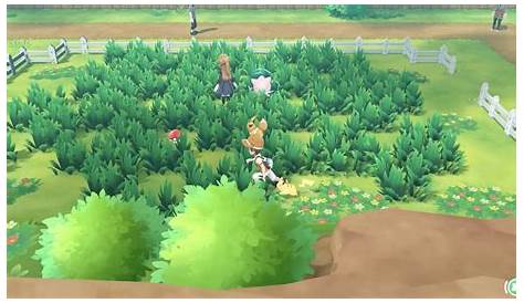 Pikachu Images: Pokemon Lets Go Pikachu Walkthrough Ign