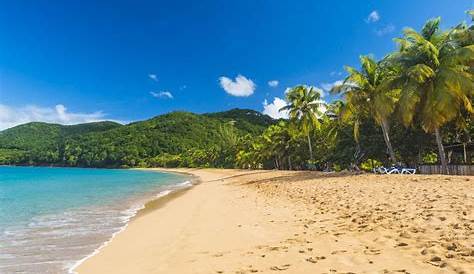 La magnifique plage des Salines en Martinique - Bouge Ta Tribu