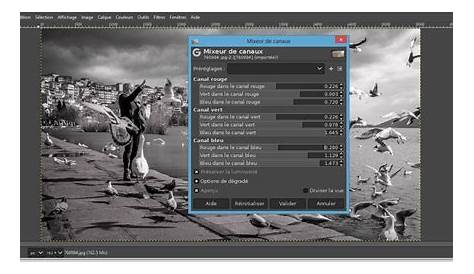 GIMP - Coloriser une zone d'une photo noir et blanc - YouTube