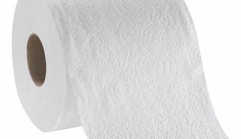 2 Ply Toilet Paper Tissue Roll, Single Roll (500 Sheets Per Roll