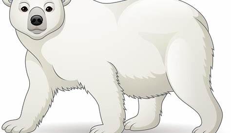 Coloriage ours polaire et dessin à imprimer