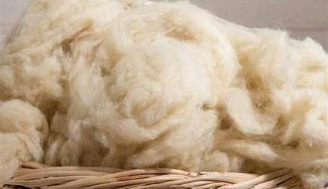 Mr.Wool: Tipos de lana para principiantes absolutos