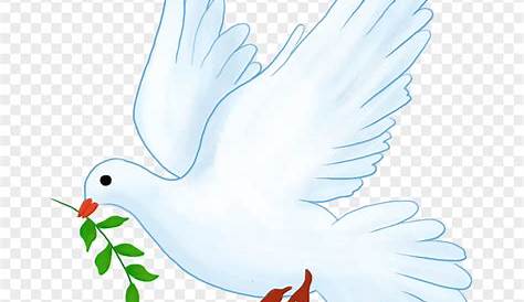 paloma de la paz pájaro 3175752 Vector en Vecteezy