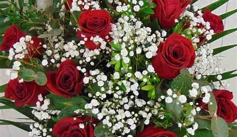 BANCO DE IMÁGENES: Ramo de rosas rojas en un florero de cristal - Red
