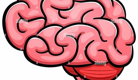 Resultado de imagen para cerebro dibujo | Brain illustration, Brain