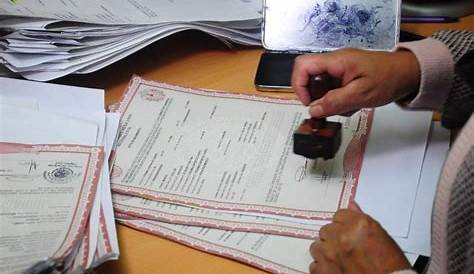 Registro civil: El Registro de Defuncion debe Manifestar