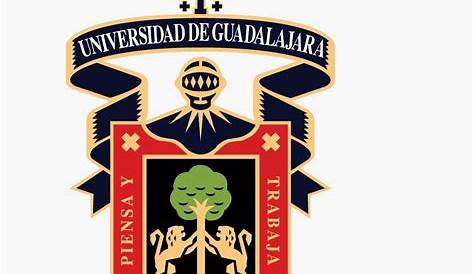 Lineamientos Sobre el uso de la imagen del Centro Universitario del Sur