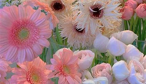 Pin by 𝒜𝓁𝒾𝒶ﾉ♡ on i lllove it | Flower aesthetic, Beautiful flowers, Flora