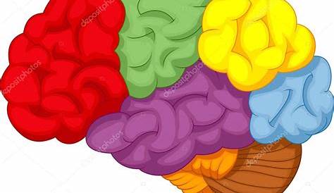 Cerebro creativo dibujos animados Imagen Vector de stock - Alamy