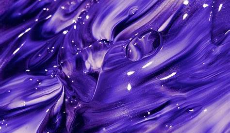 La popular violeta africana y otras plantas relacionadas. Plantas