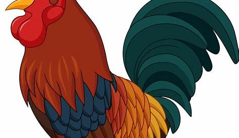 Cartoon rooster. Isolated object for design element Pho, Cartoon