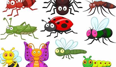 Que Es Un Insecto Para Niños De Preescolar - Hay Niños