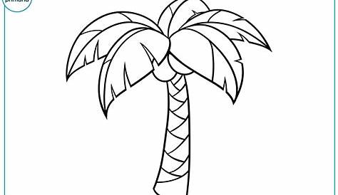 ᐈ Dibujos de palmeras【+1000】Para colorear Hoy – Dibujos para Colorear