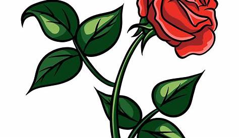 Rosas rojas a mano elementos de ilustración dibujado coloreada set
