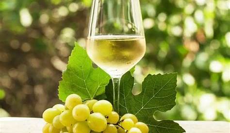 Vino blanco: Nuevos vinos blancos de Rioja: la revolución enológica del