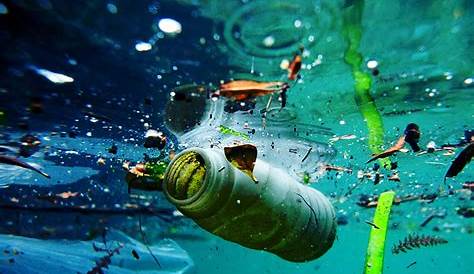 Ocean Plastic Pollution - Australian Marine Conservation Society